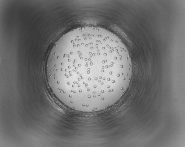 X0000074000537200609061026