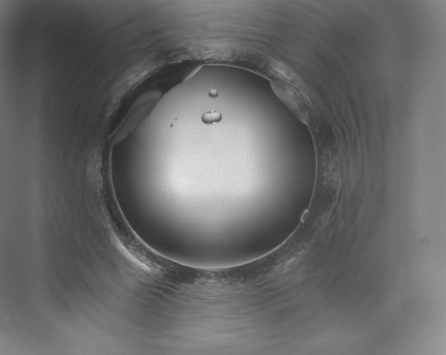 X0000074000538200609061026