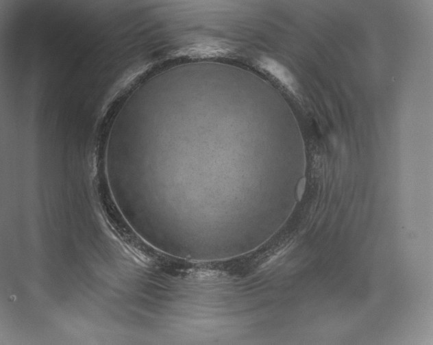 X0000074000539200609061026