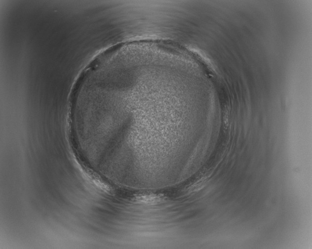 X0000074000540200609061026