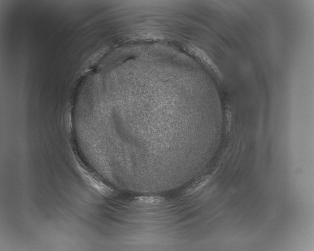 X0000074000541200609061026