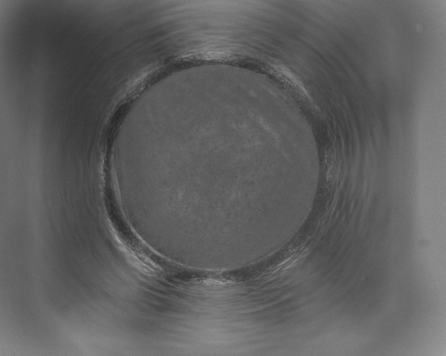 X0000074000542200609061026