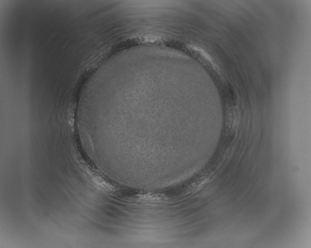 X0000074000545200609061026