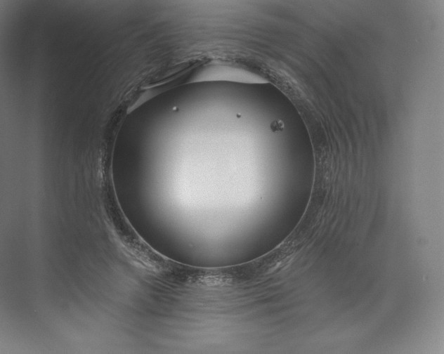 X0000074000546200609061026