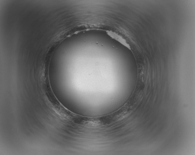 X0000074000548200609061026