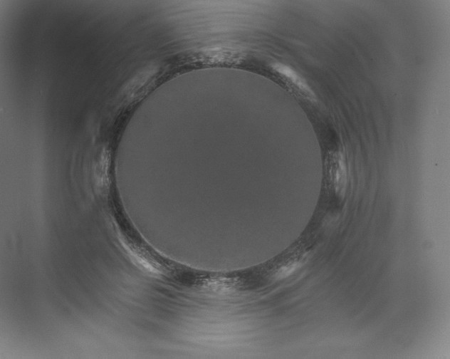 X0000074000550200609061026