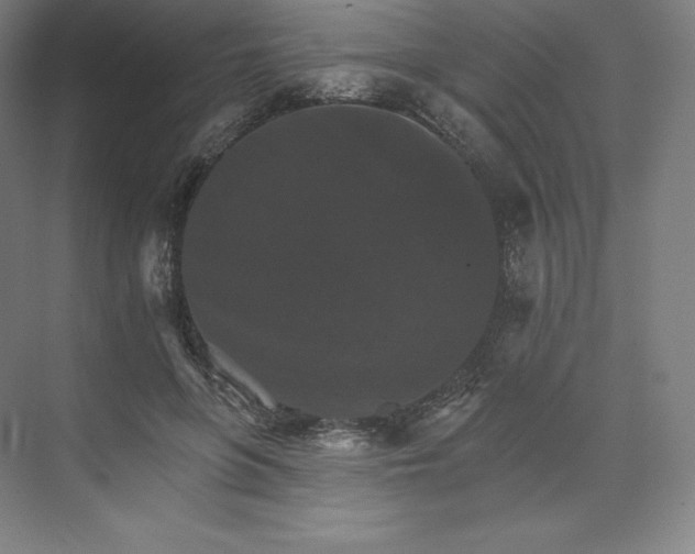 X0000074000551200609061026