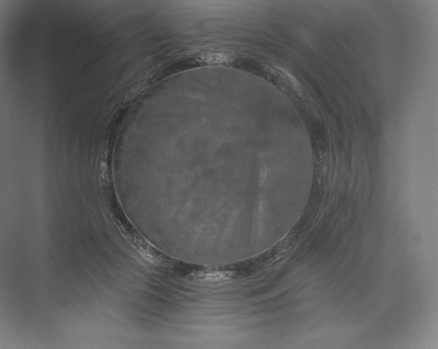 X0000074000553200609061026