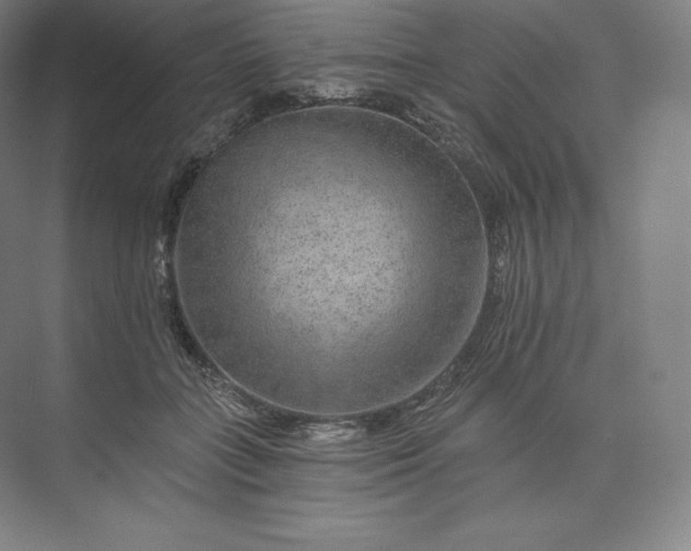 X0000074000555200609061026