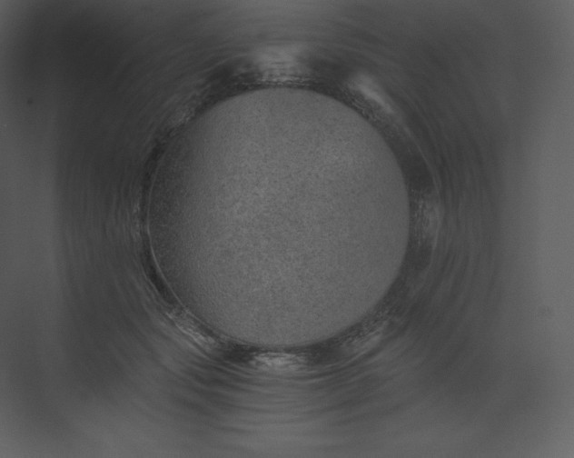 X0000074000557200609061026