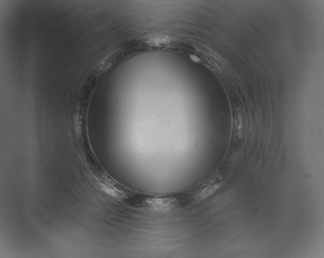 X0000074000558200609061026