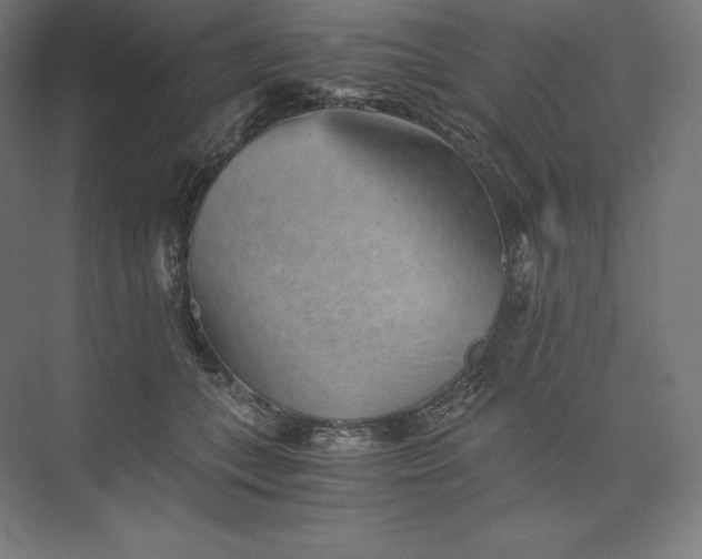 X0000074000559200609061026