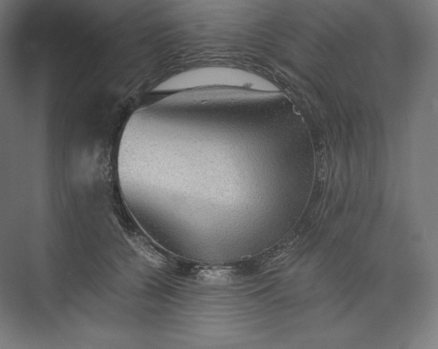 X0000074000560200609061026