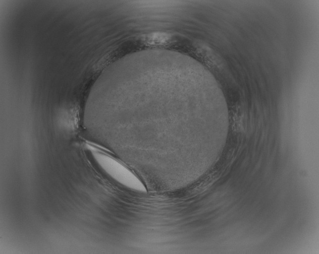 X0000074000561200609061026