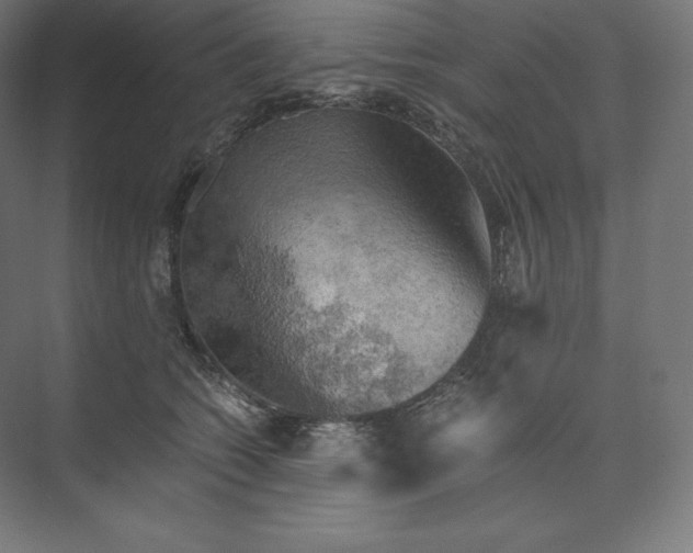 X0000074000562200609061026