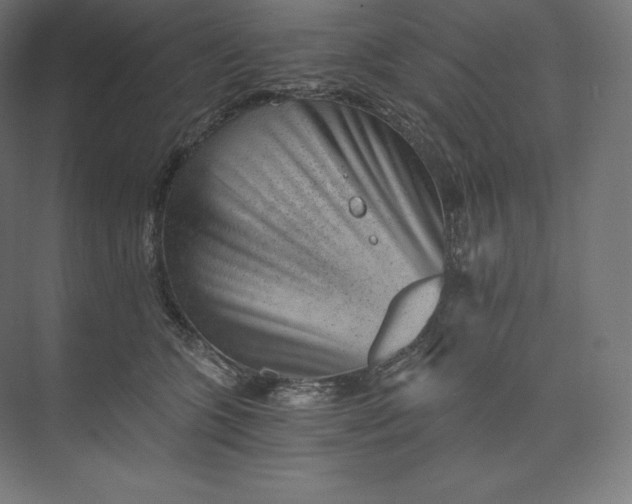 X0000074000563200609061026