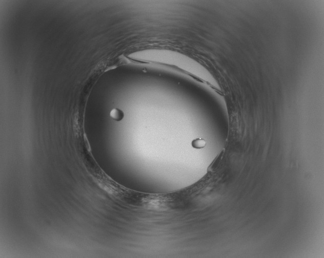 X0000074000564200609061026