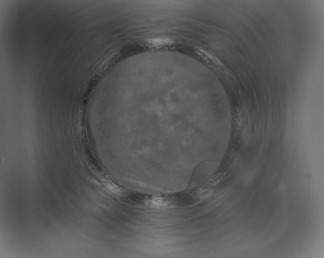 X0000074000565200609061026