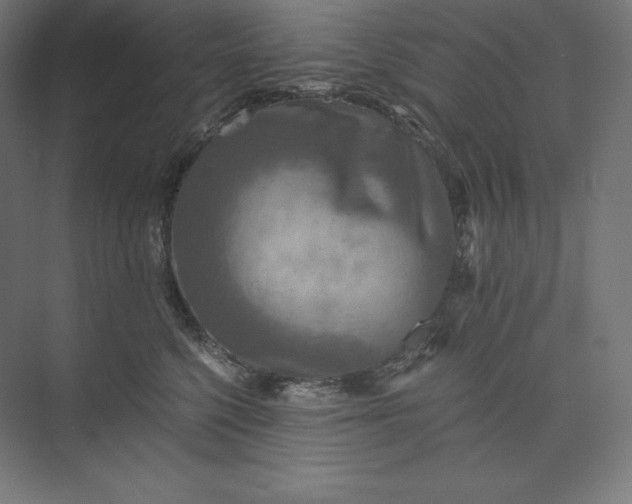 X0000074000568200609061027