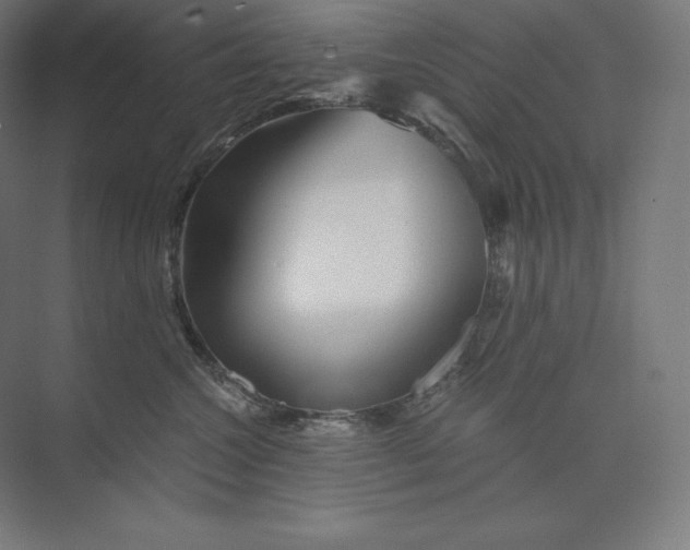 X0000074000572200609061027