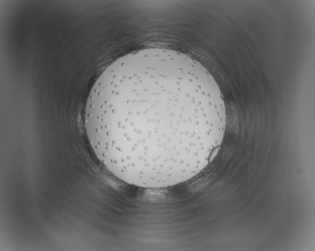 X0000074000573200609061027