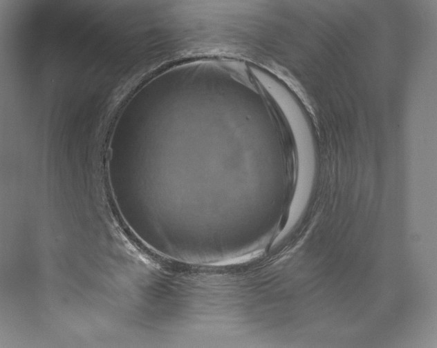 X0000074000577200609061026