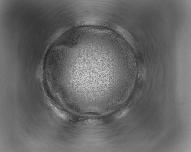 X0000074000578200609061026