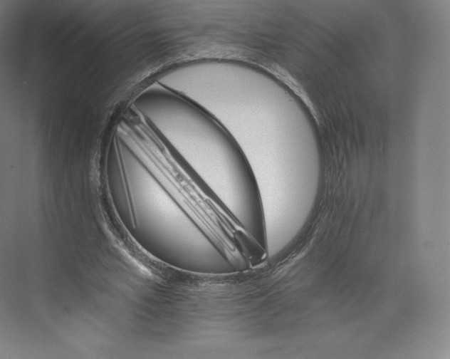 X0000074000581200609061026