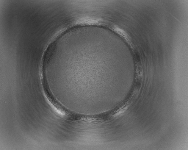 X0000074000582200609061026