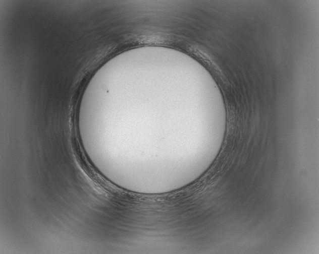 X0000074000586200609061026