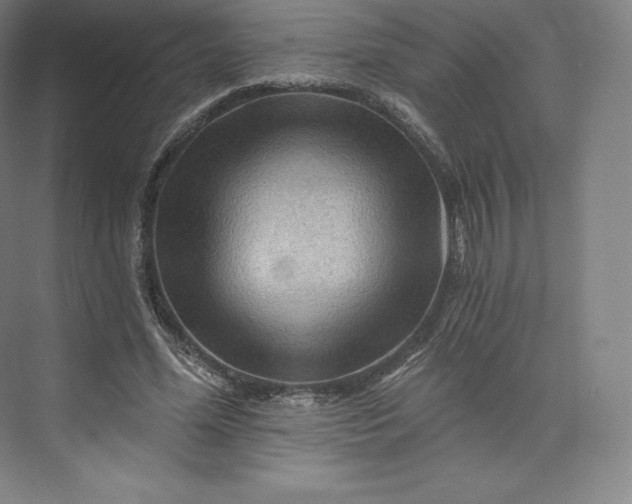 X0000074000588200609061026