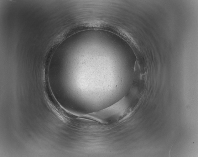 X0000074000589200609061026