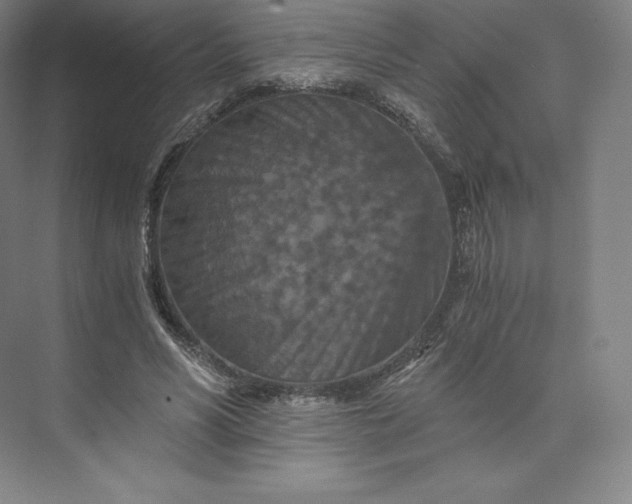 X0000074000590200609061026