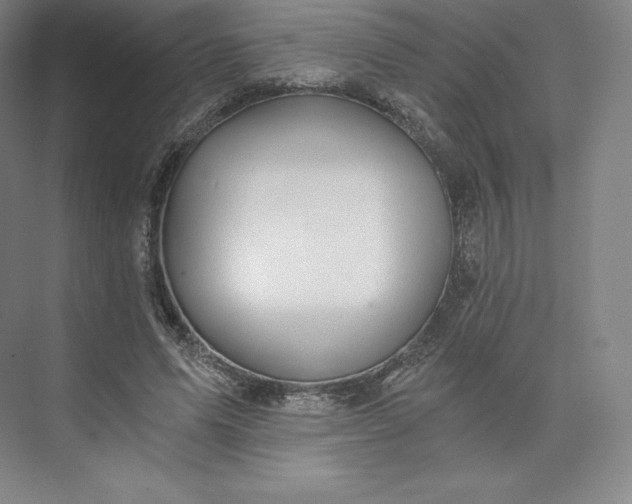 X0000074000591200609061026