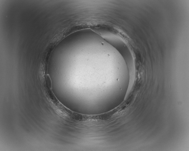 X0000074000593200609061026