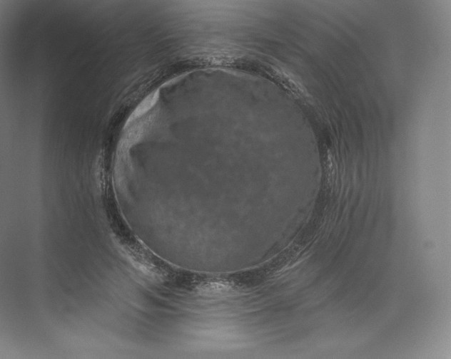 X0000074000594200609061026