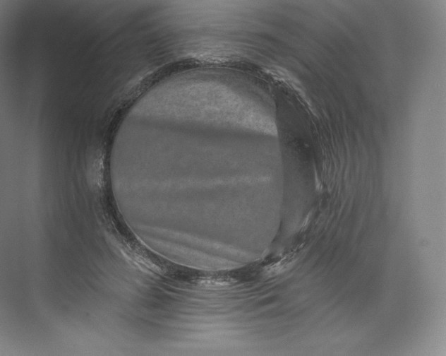 X0000074000596200609061026