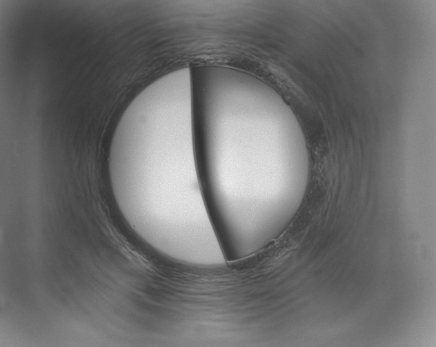 X0000074000597200609061026