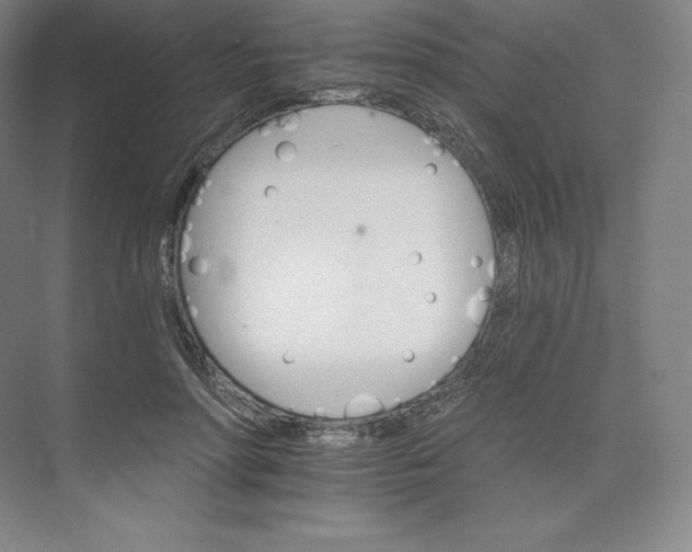 X0000074000598200609061025