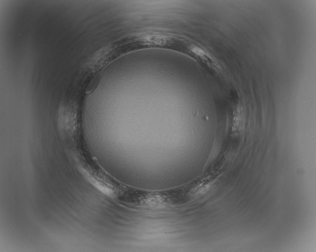 X0000074000600200609061025