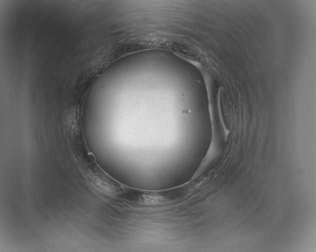 X0000074000605200609061025