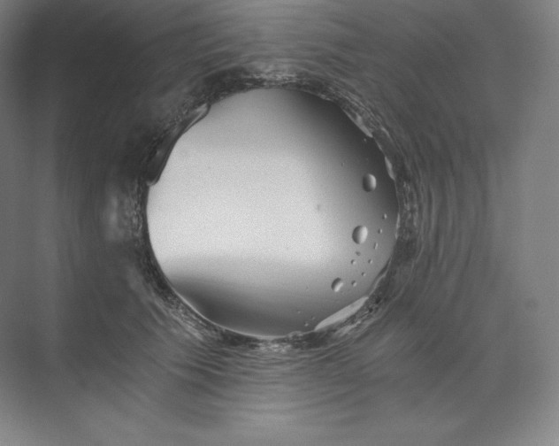 X0000074000609200609061025