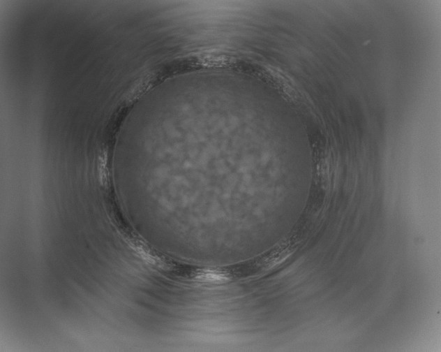 X0000074000610200609061025