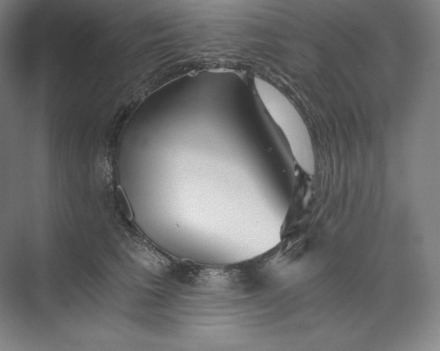 X0000074000613200609061025