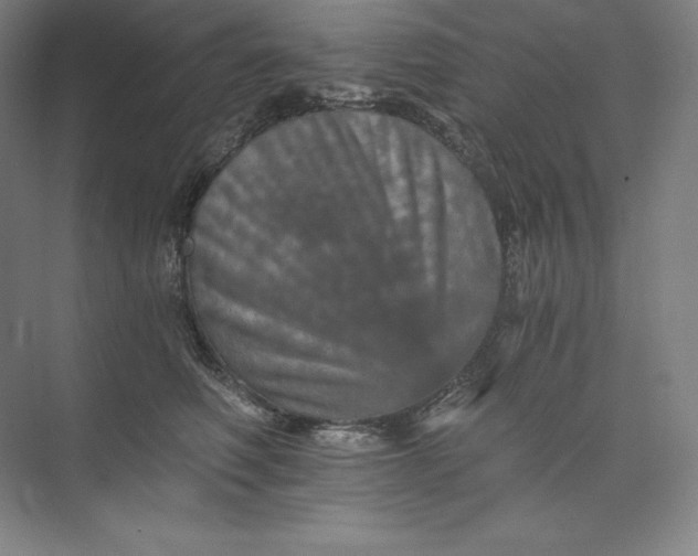 X0000074000614200609061025