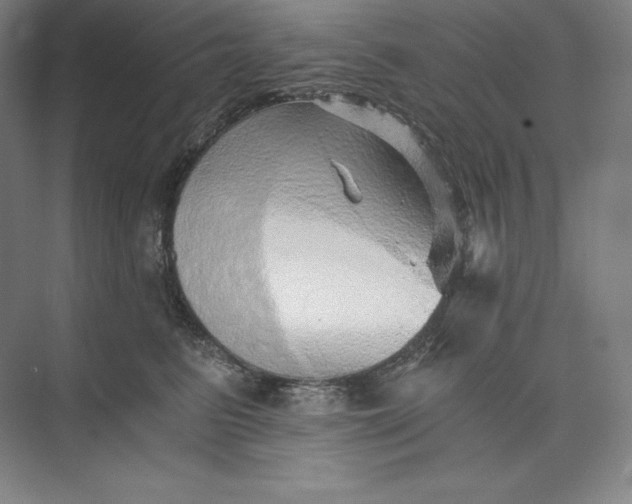 X0000074000615200609061025