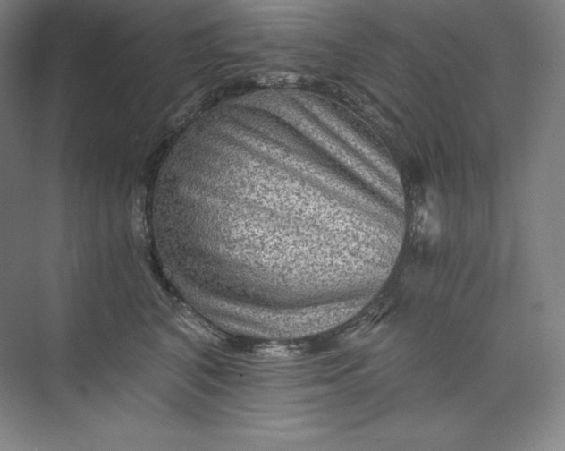 X0000074000616200609061025