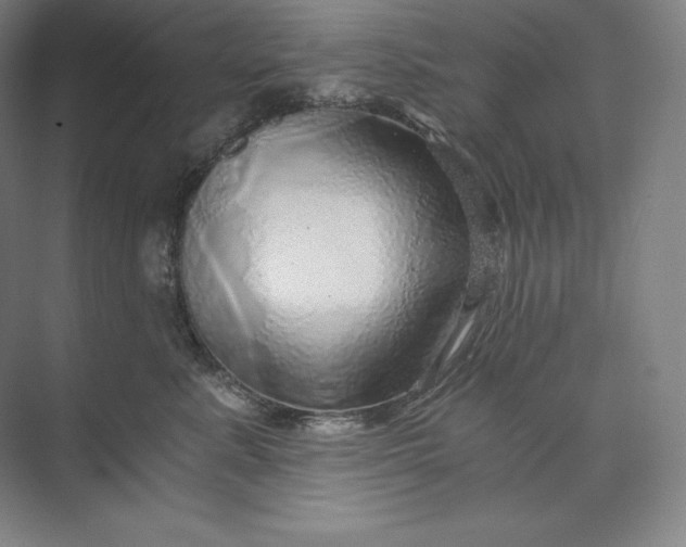 X0000074000619200609061025