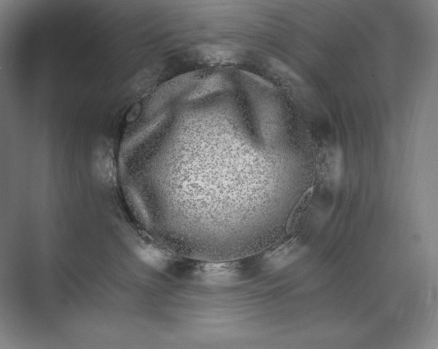 X0000074000622200609061025