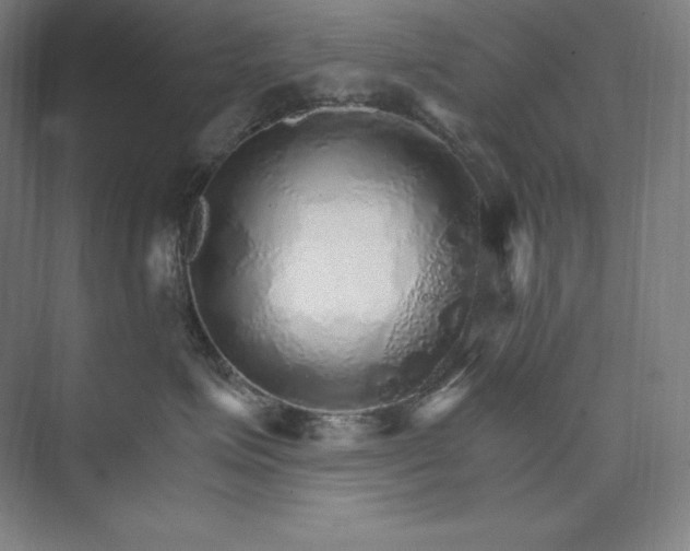 X0000074000623200609061025